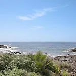 Palmar D10