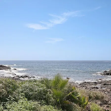 Palmar D10